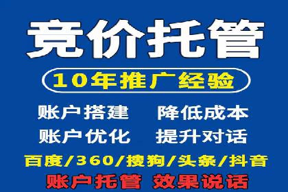 电商平台信息流广告的创意与优化：成功案例分析